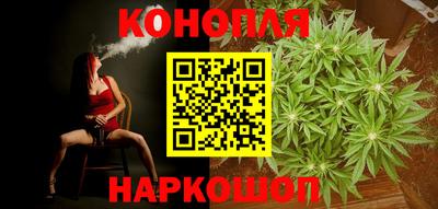 бошки Кингисепп