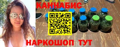 бошки Кингисепп