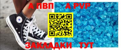 бошки Кингисепп