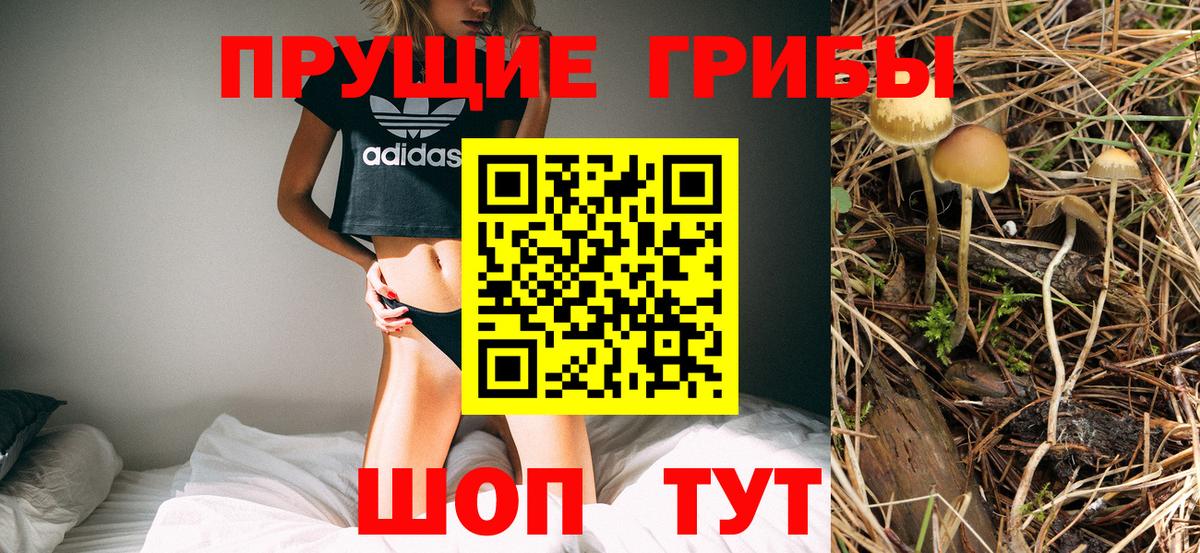Галлюциногенные грибы прущие грибы Электрогорск