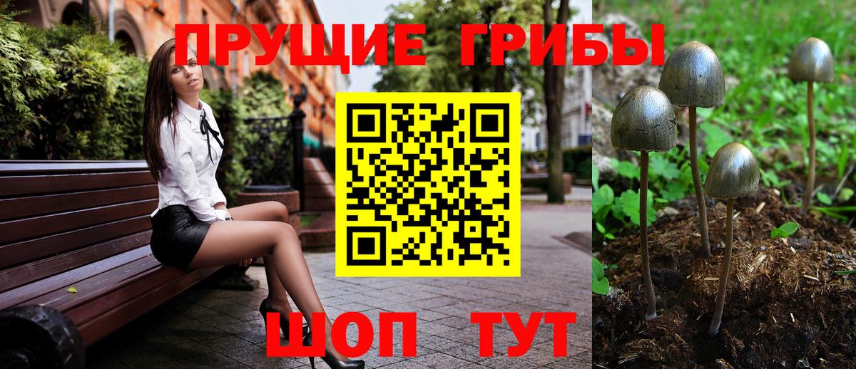 Псилоцибиновые грибы прущие грибы  Вход с VPN  Псилоцибиновые грибы мухоморы  Электрогорск 
