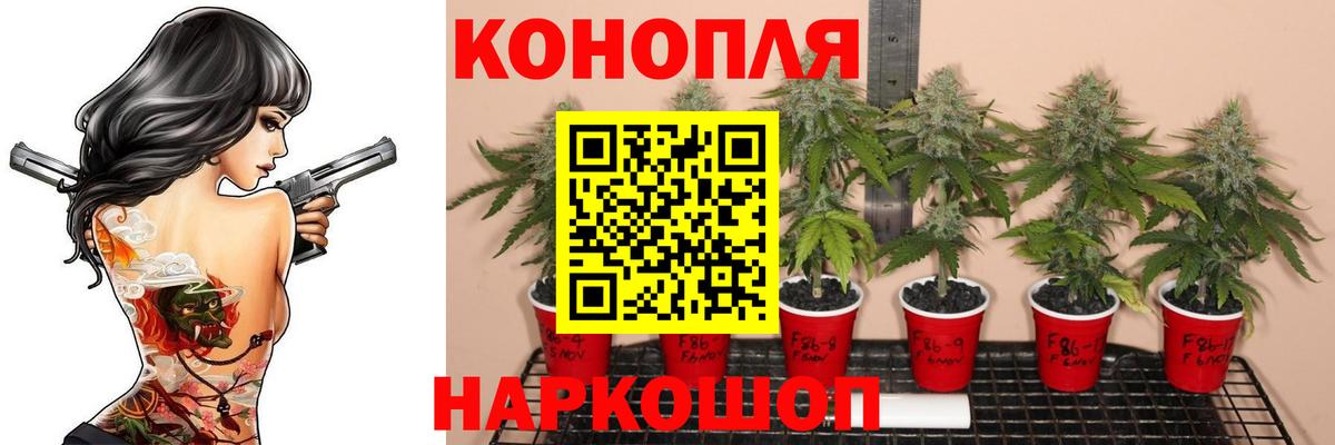 Канабис THC 21%  Вход с VPN  Шишки марихуана OG Kush  Марихуана семена  Электрогорск 